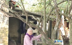 TP HCM dự kiến thu 2.215 tỉ đồng từ 3 lô đất ở Thủ Thiêm