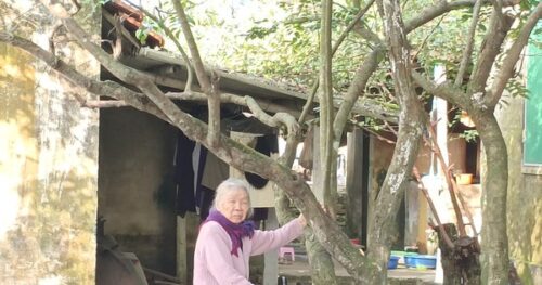 VIDEO: Đường trăm tỉ đồng "đắp chiếu", dân bị cô lập giữa“ốc đảo” trong thành phố