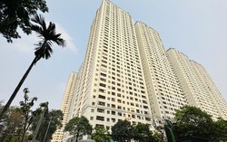 Vụ quây núi thành 'hòn non bộ' ở vùng đệm vịnh Hạ Long: Bộ TN&MT lên tiếng