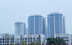 Chính phủ yêu cầu xử lý việc cố tình ép giá, nâng giá, đầu cơ đất khu vực mỏ