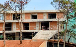 'Ôm' dự án T&T Capella, Vegetexco lại muốn lấn sân sang mảng bảo hiểm