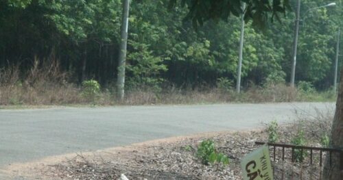 Khởi tố vụ án liên quan sai phạm quản lý sử dụng khu đất công gần 530 ha ở Bình Dương