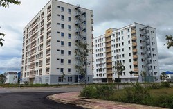 Cảng Phước An (PAP): 7 năm liền ‘trắng’ doanh thu vẫn lên kế hoạch tăng vốn