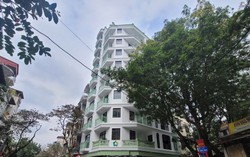 Chi tiết 7 khu đất ở Bà Rịa - Vũng Tàu chuẩn bị đem ra đấu giá