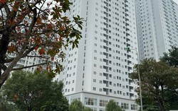 “Căn hộ nghỉ dưỡng sức khỏe” giá mềm thu hút nhà đầu tư trong năm 2024