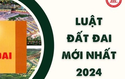 Bắt nguyên phó giám đốc chi nhánh văn phòng đăng ký đất