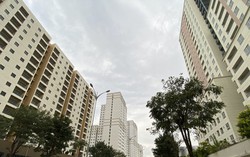 Vì sao phải kiên định: “Đất đai thuộc sở hữu toàn dân”?