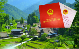 Quy định mới nhất theo Luật đất đai 2024 về bồi thường khi thu hồi đất nông nghiệp, người dân nên biết