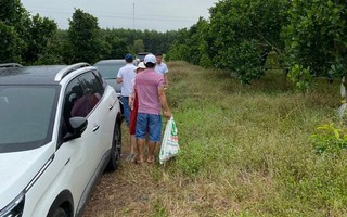 Cận Tết, đất nền phía Nam diễn biến lạ