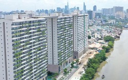 Kiểm điểm Chủ tịch UBND quận Bình Thạnh, thanh tra 4 địa chỉ nhà, đất