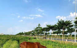 Hai huyện “cận kề” Tp.HCM sắp lên thành phố, quy hoạch có cả cảng biển, cao tốc và đường vành đai