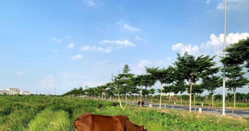 Bổ sung nhiều thành phần vào Hội đồng định giá đất