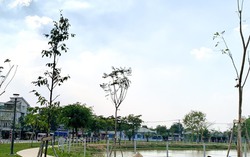 Kết luận thanh tra dự án liên quan công ty con trai cựu bí thư huyện