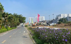 Chủ đầu tư không chấp hành quy định xử lý vi phạm