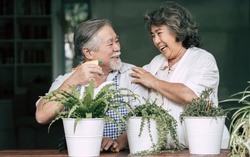 Bất chấp thị trường khó khăn, 99% căn hộ Westgate được tiêu thụ