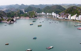 Sau 3 lần đấu giá bất thành, Hải Phòng tiếp tục tìm chủ cho Khu du lịch hơn 3.000 tỷ đồng tại đảo Cát Bà