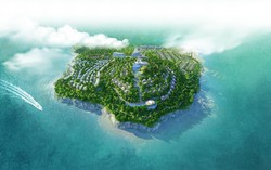 Trường hợp nào được thành lập doanh nghiệp dự án?