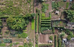 Nhà mới của diva Hồng Nhung: Penthouse khu 'nhà giàu', nội thất sang trọng