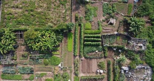 Hà Nội thông tin về Dự án Bệnh viện 1.000 tỷ đồng chậm tiến độ