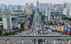 Làm thế nào để chuyển đất trồng cây lâu năm thành đất ở trong năm 2024?