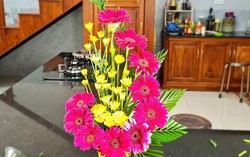 Người dân Quảng Ngãi hối hả xây nhà ở khu tái định cư đón Tết