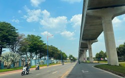 Ngoài hoa đào và mai, 3 loại hoa này nên có trong nhà dịp Tết để hút tài lộc, may măn năm Giáp Thìn 2024