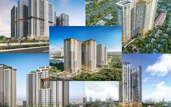 Đầu năm Giáp Thìn 2024 xuất hành đúng ngày, đúng giờ, cả năm vạn sự hanh thông, đầu tư đâu trúng đó