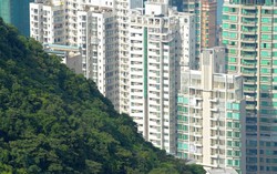 Năm 2024 có 2 ngày cực xấu khai trương cửa hàng, công ty có thể khiến chủ doanh nghiệp hao hụt tài lộc cả năm