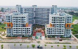 Ngao ngán cảnh sống trong các chung cư chờ sập