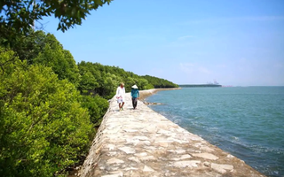 Một huyện tại Tp.HCM vừa được quy hoạch siêu dự án quảng trường quy mô hàng trăm ngàn m2