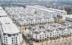 Hai dự án đô thị gần 800 tỷ đồng tại Hải Phòng tìm chủ đầu tư