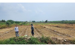 Tìm cách giảm giá nhà chung cư