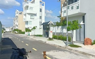 Xuất hiện “tay chơi mới” trên thị trường nhà phố riêng lẻ