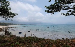 TP HCM cấp hơn 67.000 sổ hồng trong 2 tháng đầu năm