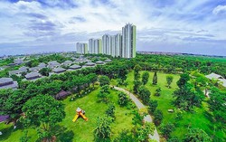 Luật đất đai 2024: Các trường hợp vi phạm pháp luật nào sẽ bị thu hồi đất?