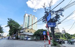 Năm Giáp Thìn 2024 có 2 tuổi xông đất, mở hàng, khai trương cực tốt, đem lại may mắn, tiền tài cả năm cho gia chủ