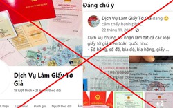 Sắp lên quận, Đông Anh (Hà Nội) chuẩn bị đấu giá 72 thửa đất, giá khởi điểm cao nhất 24 triệu đồng/m2 7 Sắp lên quận, Đông Anh (Hà Nội) chuẩn bị đấu giá 72 thửa đất, giá khởi điểm cao nhất 24 triệu đồng/m2
