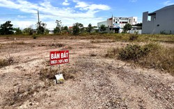 Từng "thất sủng", mặt bằng cho thuê Tp.HCM bớt ảm đạm đầu năm, khu vực nào đang cho thuê tốt nhất?