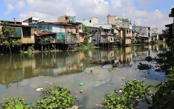 Mục đích sử dụng đất ghi chữ ‘T’ nghĩa là gì?