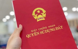 Khởi tố, bắt giam Giám đốc Chi nhánh Văn phòng đăng ký đất đai và nguyên Phó Chủ tịch UBND huyện