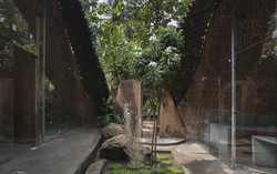 Diễn biến bất ngờ vụ Công ty Phú Cường Kiên Giang bị cho là nợ thuế