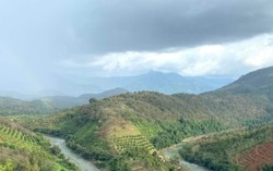 Cầu gần 4.000 tỉ đồng nối quận 1 và quận 7 khởi công lúc nào?