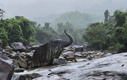 Trào lưu ‘bỏ phố về rừng’ hạ nhiệt, đất giảm giá 30% cũng không ai mua