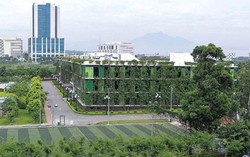 Cảnh “rừng căn hộ” mọc san sát tại thành phố có nhiều nhà cao tầng nhất Việt Nam 8 Cảnh “rừng căn hộ” mọc san sát tại thành phố có nhiều nhà cao tầng nhất Việt Nam