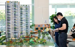 UBND tỉnh Đồng Nai được giao thẩm quyền thực hiện dự án sân bay Biên Hòa 8 UBND tỉnh Đồng Nai được giao thẩm quyền thực hiện dự án sân bay Biên Hòa