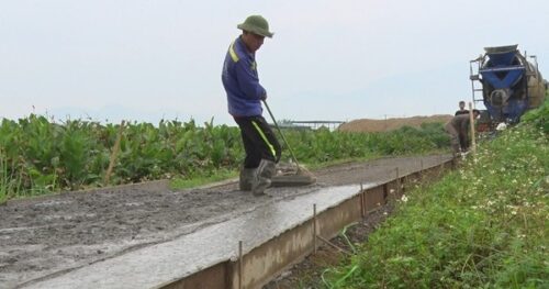 Đấu giá hàng trăm nghìn m2 đất nông nghiệp tại Ba Vì 4 Đấu giá hàng trăm nghìn m2 đất nông nghiệp tại Ba Vì