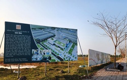 Hạ Long sẽ xây dựng biểu tượng rồng giữa trung tâm thành phố 4 Hạ Long sẽ xây dựng biểu tượng rồng giữa trung tâm thành phố