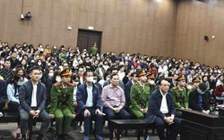 Tổng Giám đốc 'dởm' nhận tiền tỷ để làm sổ đỏ giả cho người quen