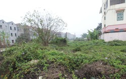 Bất động sản 2024 phục hồi nhưng phân hóa rõ rệt ở các phân khúc 9 Bất động sản 2024 phục hồi nhưng phân hóa rõ rệt ở các phân khúc