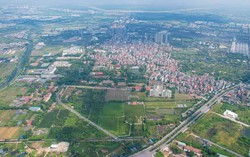 Diễn biến mới vụ cựu bí thư huyện ở Bình Định thâu tóm 138 ha đất rừng 4 Diễn biến mới vụ cựu bí thư huyện ở Bình Định thâu tóm 138 ha đất rừng